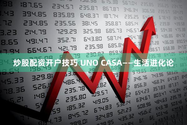 炒股配资开户技巧 UNO CASA——生活进化论